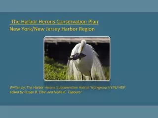 The Harbor Herons Conservation Plan New York/New Jersey Harbor Region