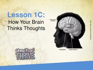 Lesson 1C: How Your Brain Thinks Thoughts