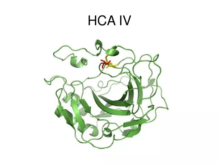 hca iv