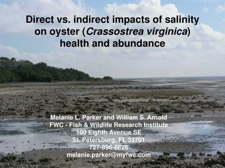 direct vs indirect impacts of salinity on oyster crassostrea virginica health and abundance