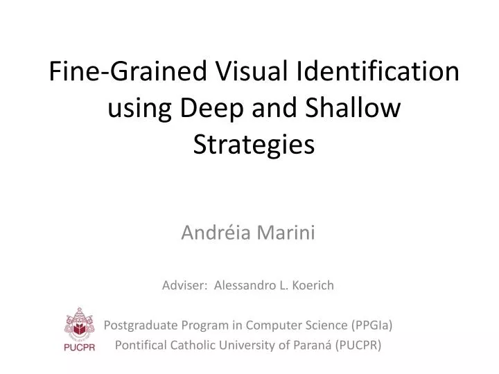 fine grained visual identification using deep and shallow strategies