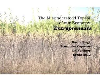 The Misunderstood Topsoil of our Economy: Entrepreneurs