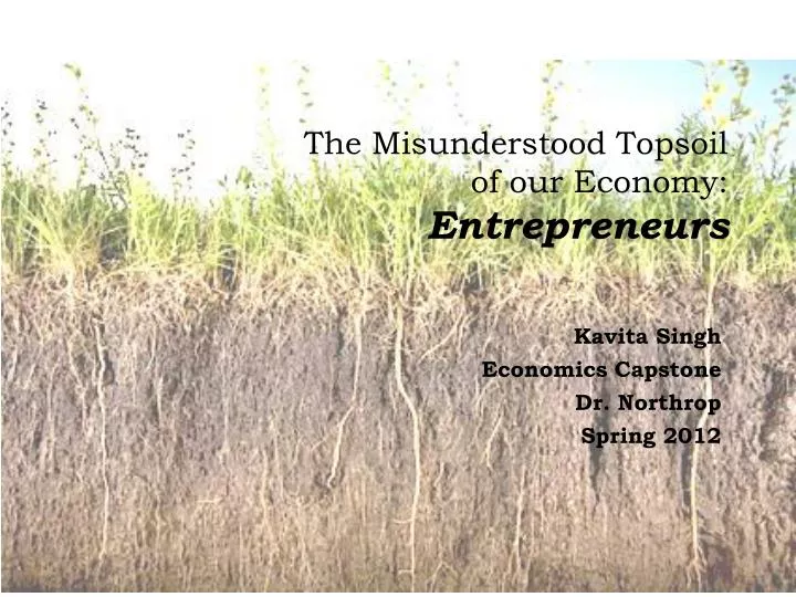 the misunderstood topsoil of our economy entrepreneurs