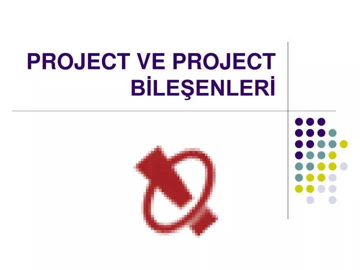 project ve project b le enler
