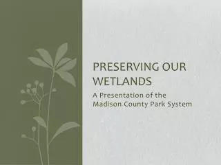 PRESERVING OUR WETLANDS