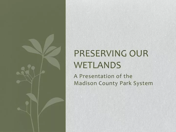 preserving our wetlands