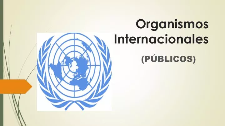 organismos internacionales