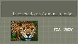 licenciado en administraci n