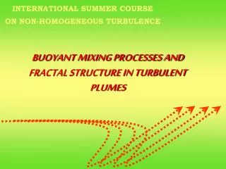 BUOYANT MIXING PROCESSES AND FRACTAL STRUCTURE IN TURBULENT PLUMES