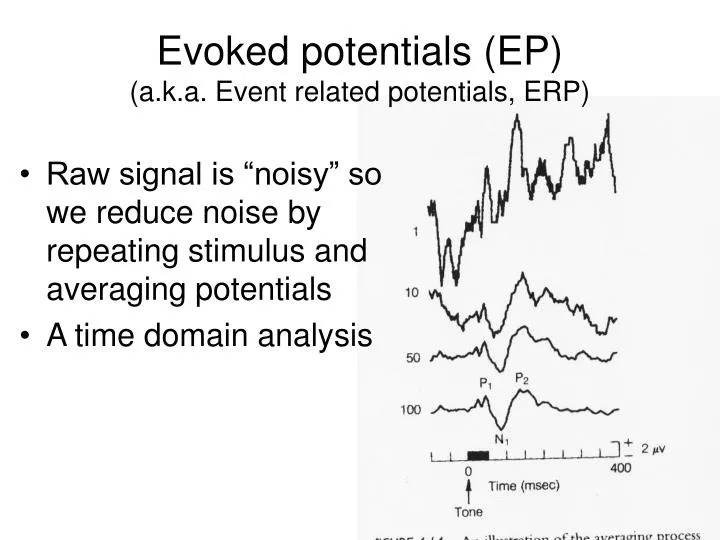 evoked potentials ep a k a event related potentials erp