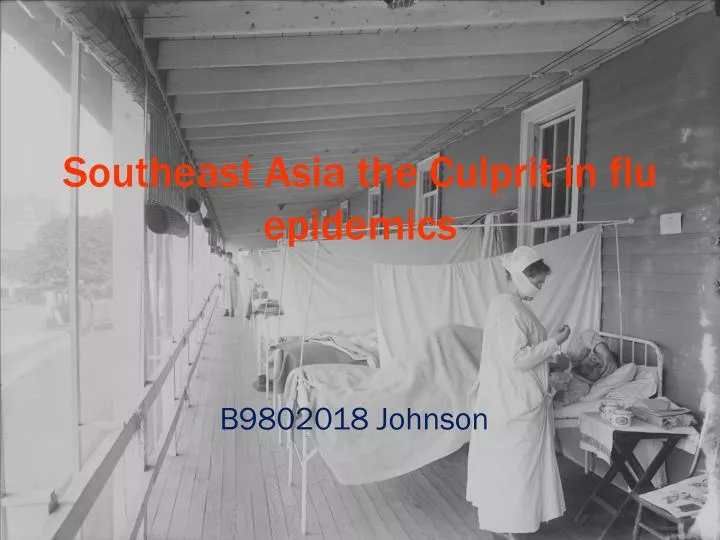 southeast asia the culprit in flu epidemics