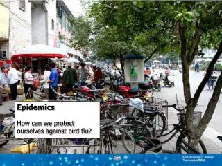 Epidemics How can we protect ourselves against bird flu?