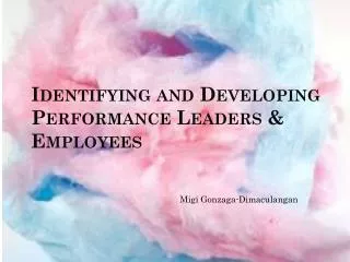Identifying and Developing Performance Leaders &amp; Employees