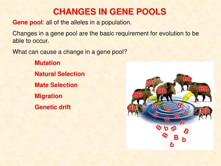 changes in gene pools