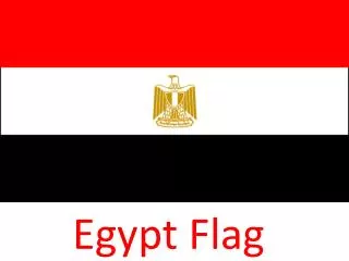 Egypt Flag