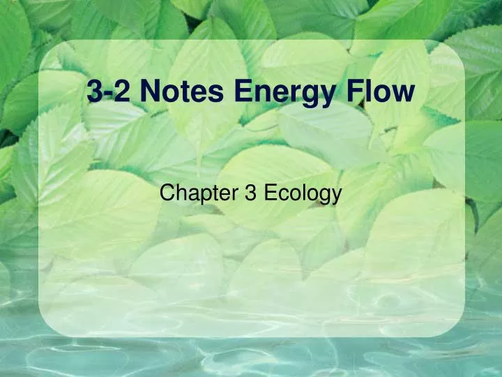 3 2 notes energy flow