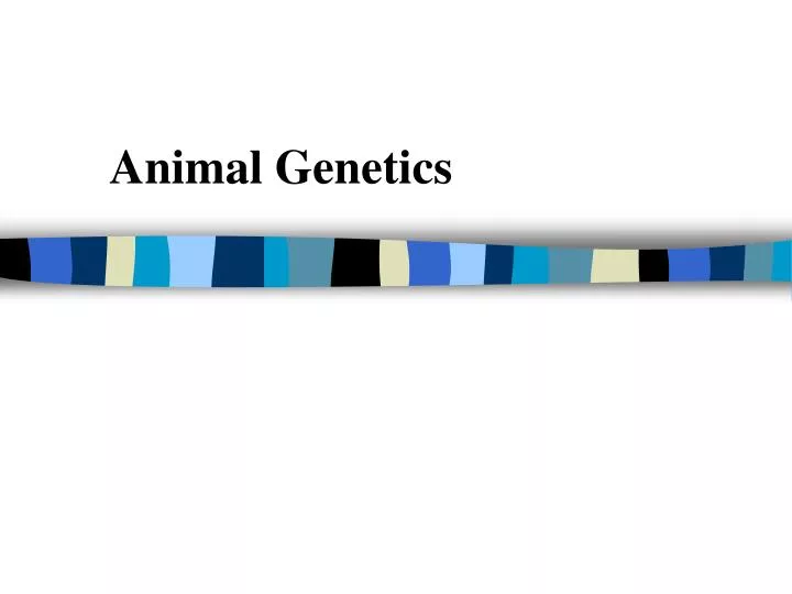 animal genetics