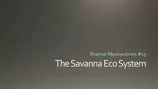 The Savanna Eco System