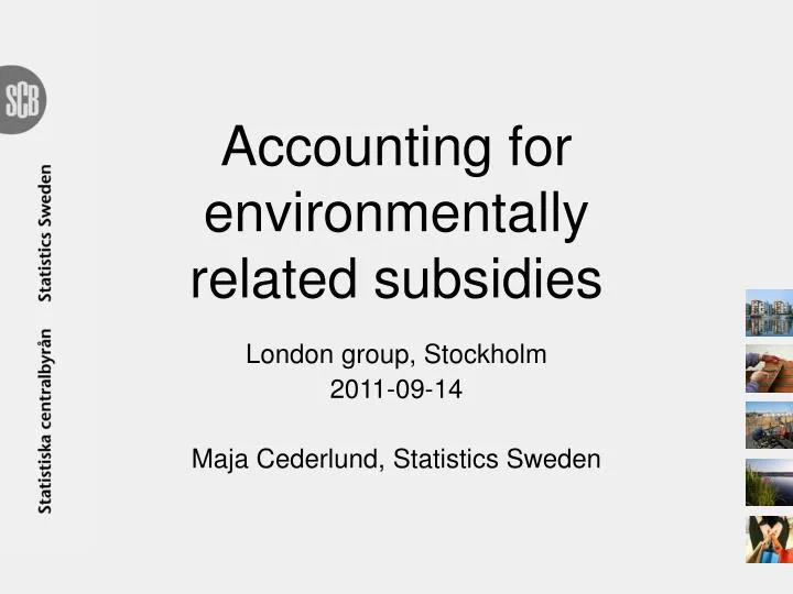 accounting for environmentally related subsidies