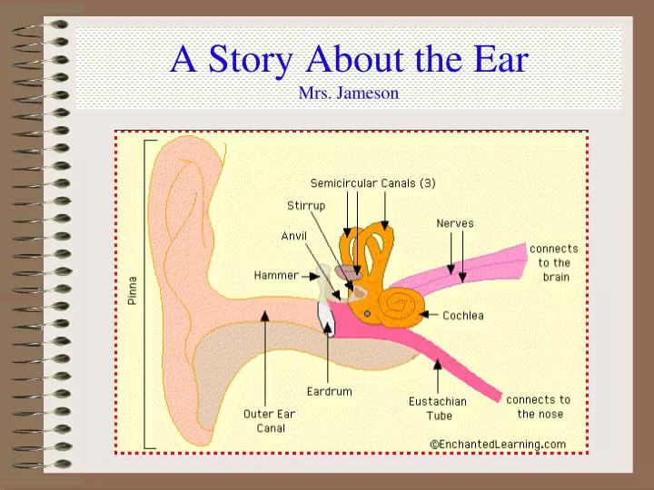 a story about the ear mrs jameson