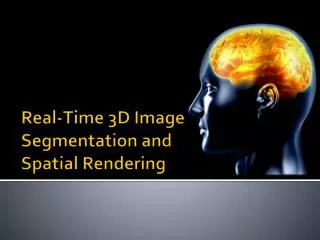 Real-Time 3D Image Segmentation and Spatial Rendering