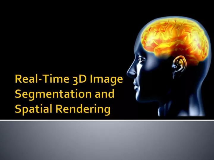 real time 3d image segmentation and spatial rendering