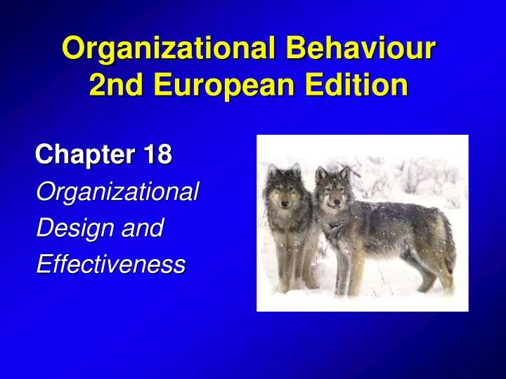 chapter 18 organizational design and effectiveness
