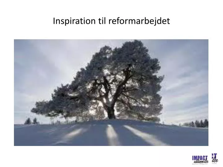 inspiration til reformarbejdet