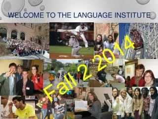 Welcome to the Language Institute