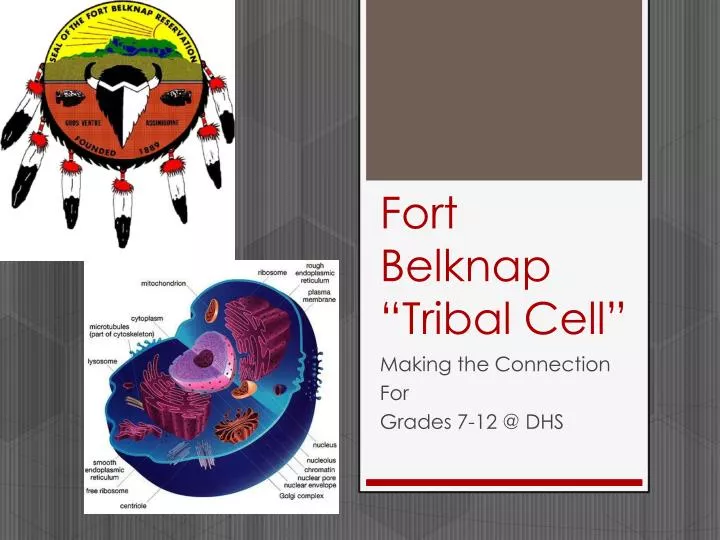 fort belknap tribal cell