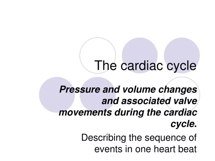 the cardiac cycle