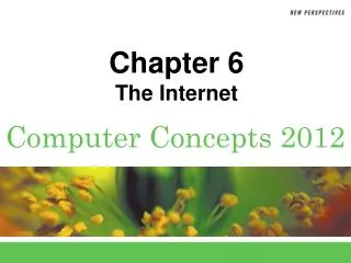 Chapter 6 The Internet