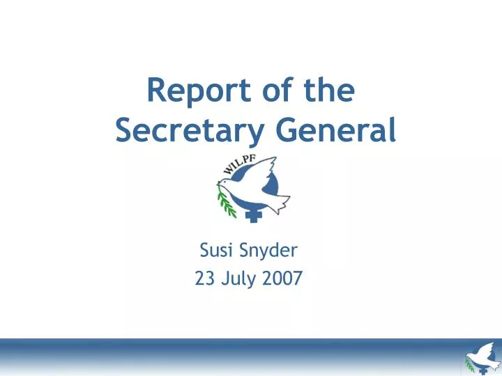 report of the secretary general