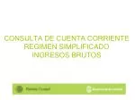 CONSULTA DE CUENTA CORRIENTE REGIMEN SIMPLIFICADO INGRESOS BRUTOS - slide 1