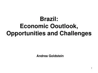 Brazil: Economic Ooutlook, Opportunities and Challenges