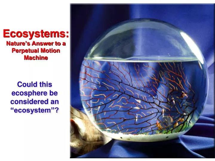 ecosystems nature s answer to a perpetual motion machine