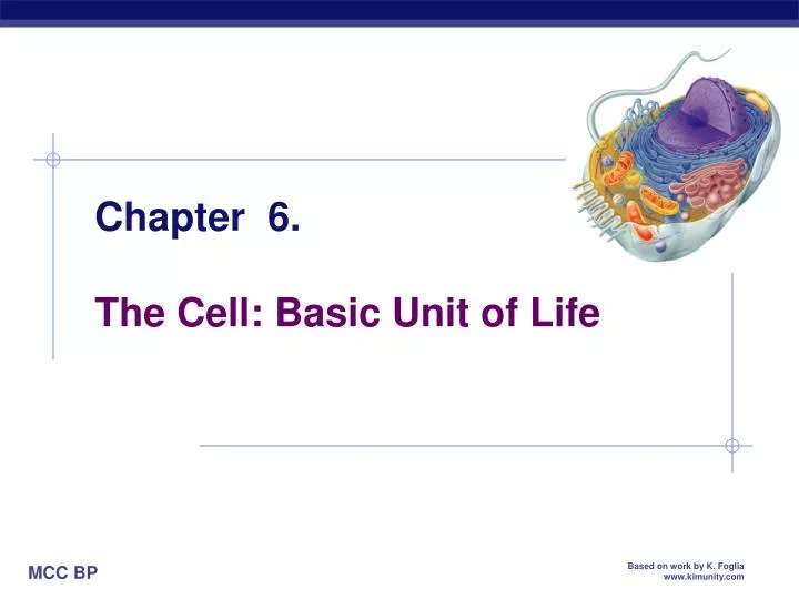chapter 6 the cell basic unit of life