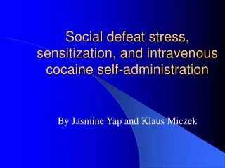 Social defeat stress, sensitization, and intravenous cocaine self-administration
