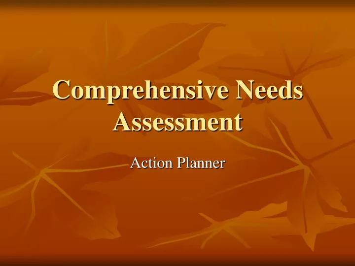comprehensive needs assessment