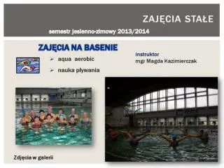 zaj cia sta e
