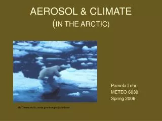 AEROSOL &amp; CLIMATE ( IN THE ARCTIC)