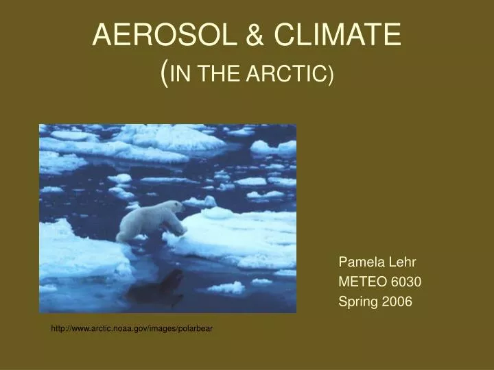 aerosol climate in the arctic