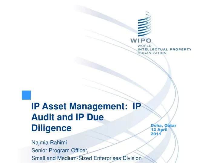 ip asset management ip audit and ip due diligence