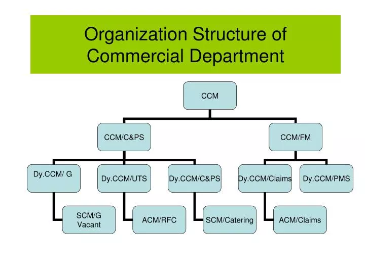 organization structure of commercial department