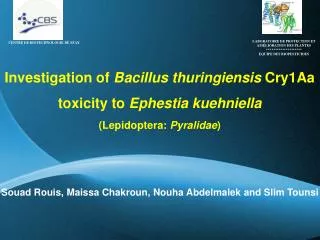 Investigation of Bacillus thuringiensis Cry1Aa toxicity to Ephestia kuehniella