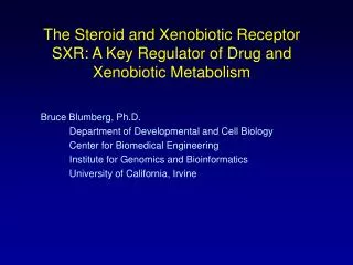 The Steroid and Xenobiotic Receptor SXR: A Key Regulator of Drug and Xenobiotic Metabolism