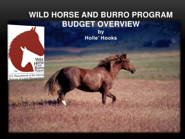 wild horse and burro program budget overview by holle hooks