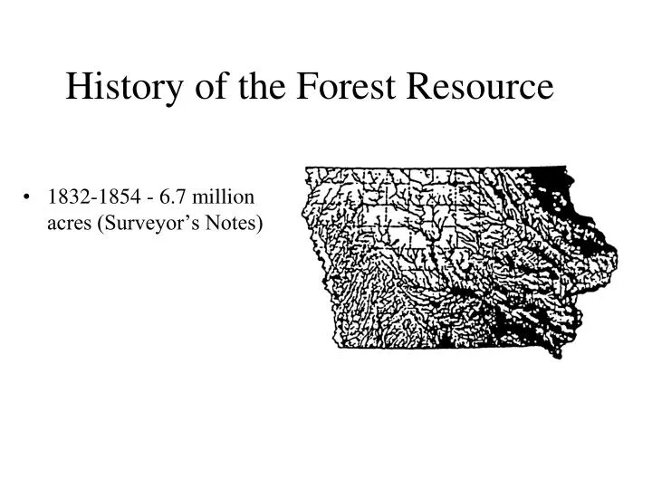 history of the forest resource