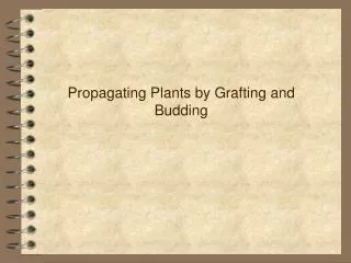 Propagating Plants by Grafting and Budding