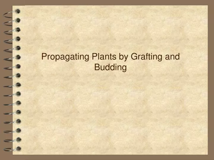 propagating plants by grafting and budding
